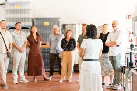 Uncorked Villamagna: Wine Tasting in Italy’s Smallest DOC
