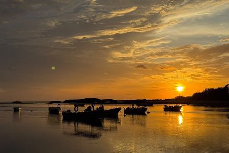 Boat adventure with wildlife viewing in Tamarindo