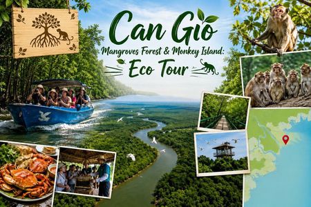 Explore Can Gio Mangrove Forest Eco Trekking And Nature Escape
