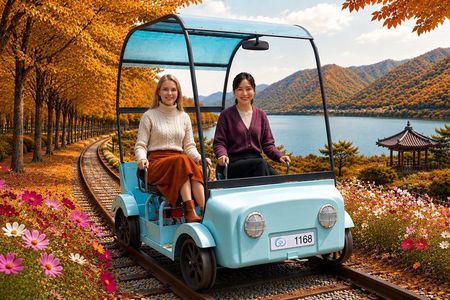 Nami Island, K-garden and Gangchon Rail Bike tour from Seoul
