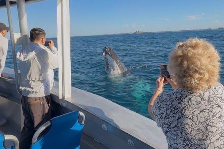 Adventure Whale Watching Tour Mooloolaba