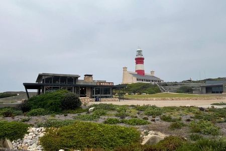 4 Day Garden Route Tour from Port Elizabeth to Cape Town
