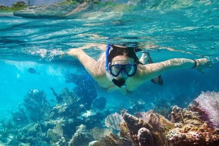 San Cristobal Galapagos 360 - Snorkeling Tour (Kicker Rock)
