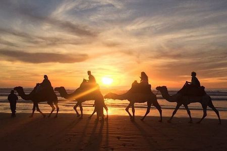 Sunset Barbecue Camel Ride from Agadir