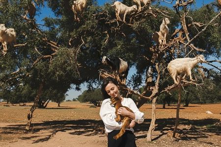 Goat on trees & Crocodile Park Including Tickets and Hotel Pickup