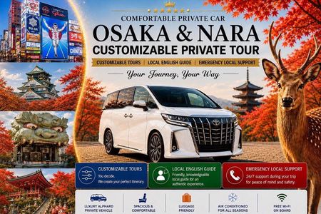 Osaka Customizable Private Tour w Local English Guide (Nara opt)