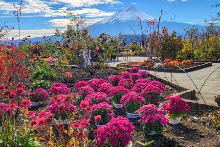 Mt. Fuji and Hakone Private Tour with Luxury Vehicle
