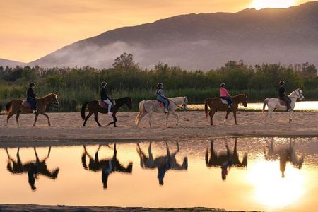 Horse Riding at the Beach in Orosei