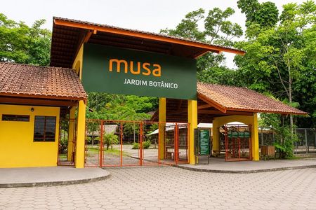 Tour at the MUSA – Amazon Museum in Manaus Amazon Experience