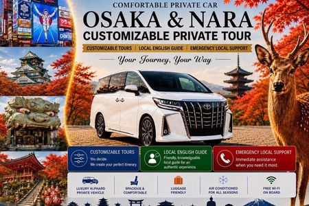 Osaka Customizable Private Tour w Local English Guide (Nara opt)