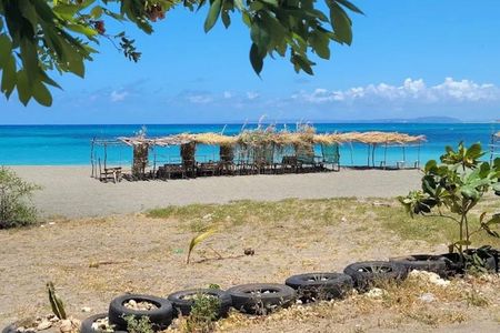 Port Royal and Bob Marley Beach Escape