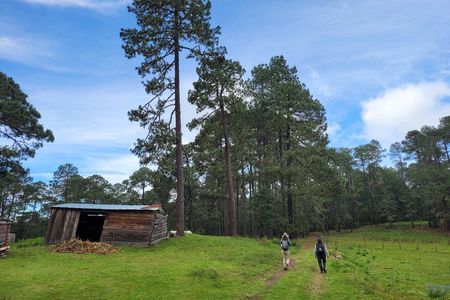 2 Days Sierra Norte Cloud Forest Adventure