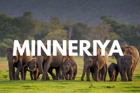 Minneriya luxury jeep safari