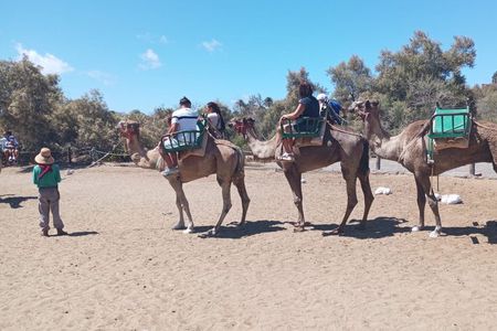 Step e-Scooter Tour Playa Ingles + Camel Ride on Masplomas Dunes