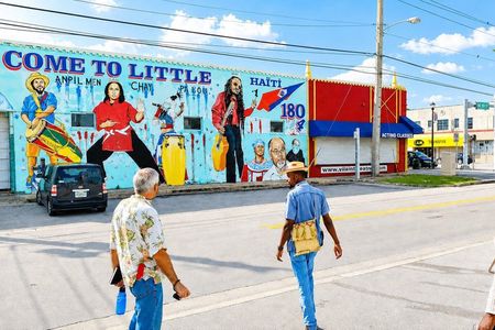 The Pearl of Miami Little Haiti Tour