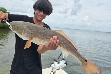 Private St Petersburg Inshore Fishing Charters