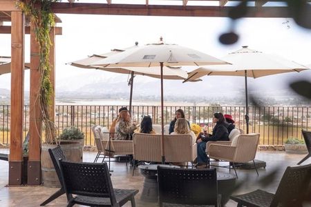 Must-See Wineries in Valle de Guadalupe: Private Tour