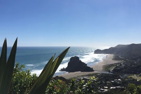 Piha Beach, Waterfall and Rainforest Tour from Auckland