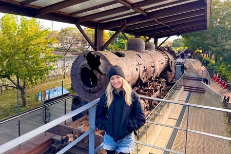 Explore DMZ from Seoul +(optional) Gondola/Red Suspension Bridge