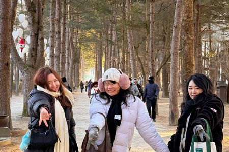 Nami Island Private Tour