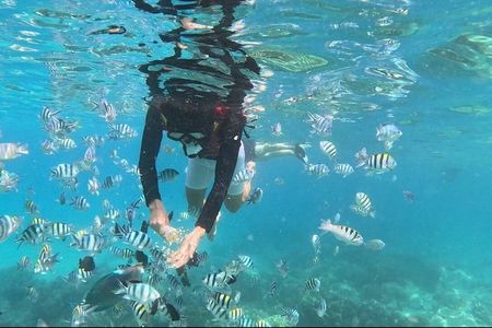 Nha Trang Half-Day Tour with Snorkeling and Seafoods