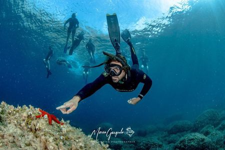 Sorrento Morning RIB Snorkel: 2 Spots with a Marine Biologist