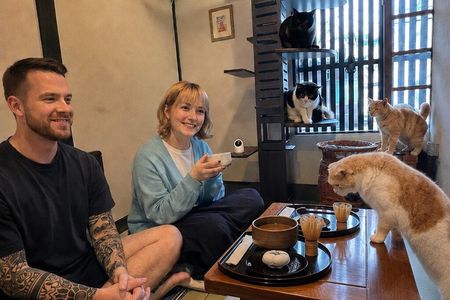 Kyoto: Private Ethical Cat Sanctuary & Tea Ceremony