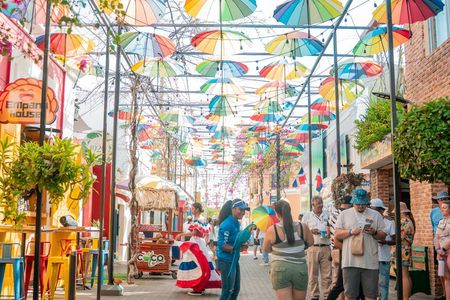 Mountain View and City Tours