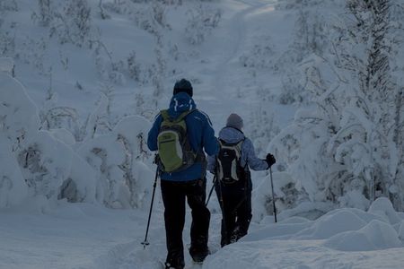 Tromsø: Explore Tromsøya on Snowshoes with a Local Guide