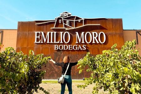 From Madrid to Ribera del Duero Vineyards and Towns Reconditos