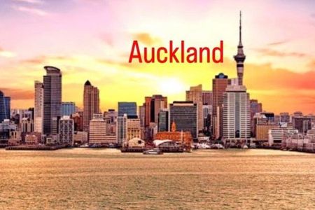 Auckland City Half Day Top Sightseeing Tour(Small Group Tour)