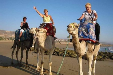 Camel riding including Couscous lunch and Quad biking