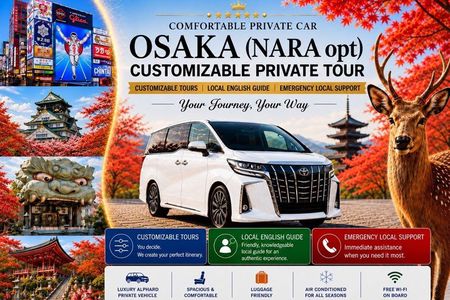 Osaka Customizable Private Tour w Local English Guide (Nara opt)