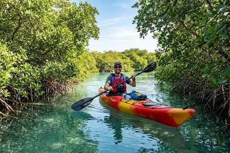 Doha Mangrove Kayaking Al Thakira & Purple Island With Transfer