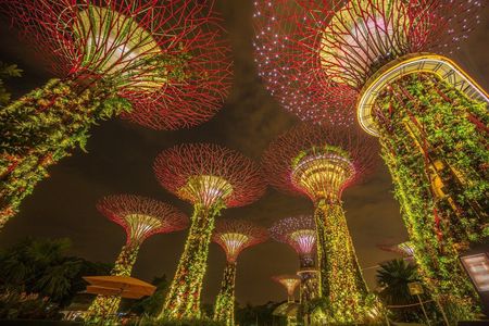 Gardens by the Bay Entry tickets with Parks Options