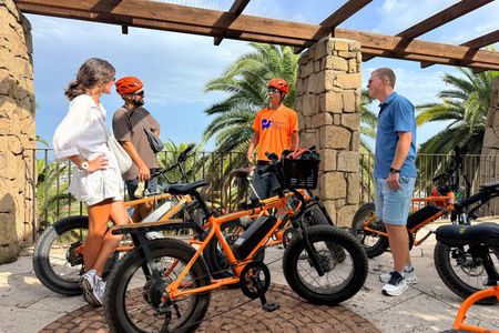 Barcelona Montjuïc E-Bike Tour: Castle, Views & Highlights