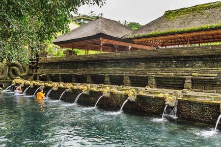Ubud Private Tour with Rice Terrace Swing Temple Balinese Culture