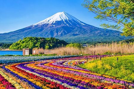 From Tokyo: Mount Fuji Private Customizable Tour with Guide