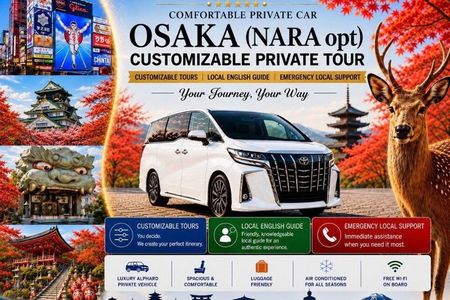Osaka Customizable Private Tour w Local English Guide (Nara opt)