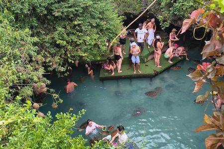 Zanzibar Hidden salam Cave Turtle Swim;Jozani Forest & Spice Farm