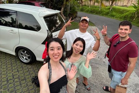 Bali: Private Car Charter with English Driver