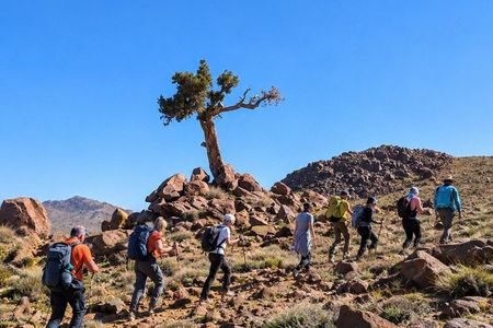 Saghro Mountains Trekking & Berber Experience