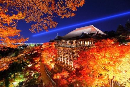 Kyoto Night Tour with Seasonal Illuminations (only 1 group a day)