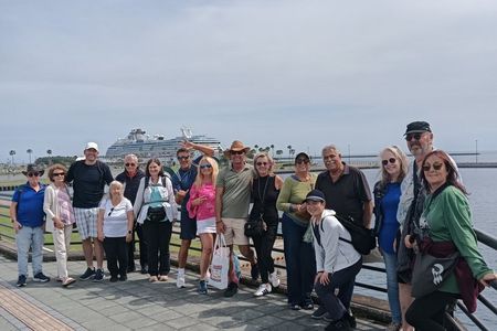 Kagoshima Cherry Blossom, Volcano & Wagyu Lunch Cruise Excursion