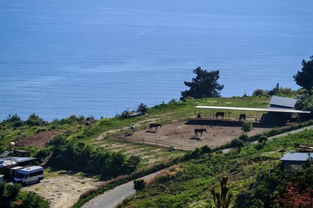 Alanya: Horseback Riding in Taurus: Forest Sea Views 2.5 Hours