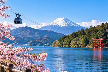 Private Tour to Mount Fuji and Hakone - A Personalized Experience