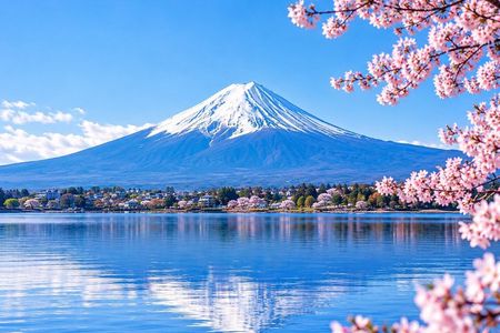 Private Tour To Mount Fuji from Tokyo - A Majestic Experience