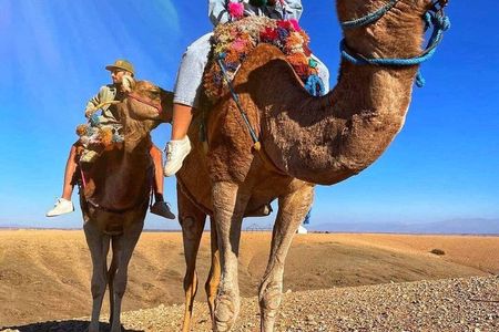 Marrakech: Camel Ride, Quad Bike, Sunset Dinner in Desert Agafay