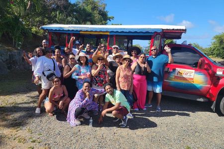 St. Thomas Shopping, Sightseeing & Beach Tour with Local Guide