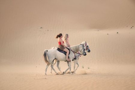 Doha Desert Horse Riding: 2-Hour Ride & Private Transfer